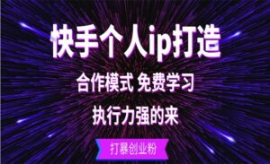 快手个人IP打造-蚂蚁计划