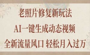 AI一键生成老照片动态视频-蚂蚁计划