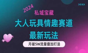 大人玩具情趣赛道新玩法-蚂蚁计划
