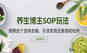 养生博主SOP玩法-蚂蚁计划