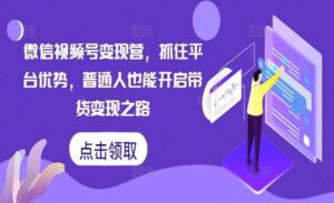 微信视频号变现营-蚂蚁计划