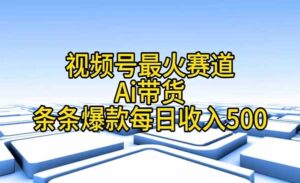 视频号Ai带货条条爆款-蚂蚁计划