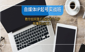 自媒体IP起号实战-蚂蚁计划