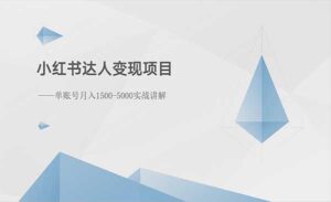 小红书达人变现项目-蚂蚁计划