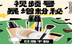 视频号涨粉方法-蚂蚁计划