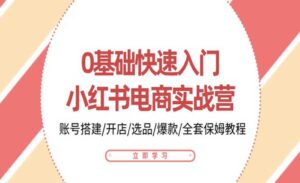小红书电商实战营-蚂蚁计划
