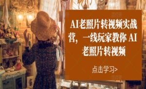 AI老照片转视频实操-蚂蚁计划