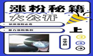 AI美女颜值暴力涨粉-蚂蚁计划