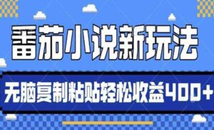 番茄小说AI推书-蚂蚁计划