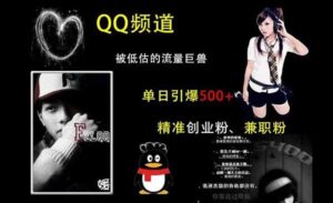 QQ引流创业粉秘籍-蚂蚁计划