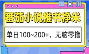 番茄小说推书玩法-蚂蚁计划
