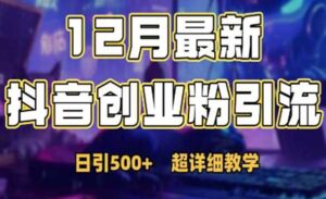 抖音日引500+创业粉-蚂蚁计划