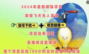 敦煌飞天无人直播-蚂蚁计划