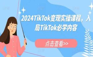 TikTok变现实操-蚂蚁计划