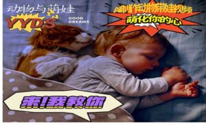 AI动物与萌娃互动-蚂蚁计划