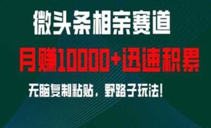 微头条相亲项目-蚂蚁计划