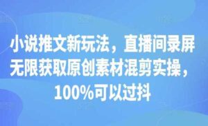 小说推文录屏混剪实操-蚂蚁计划