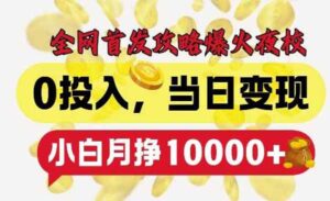 爆火夜校项目-蚂蚁计划