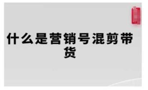 营销号混剪带货-蚂蚁计划